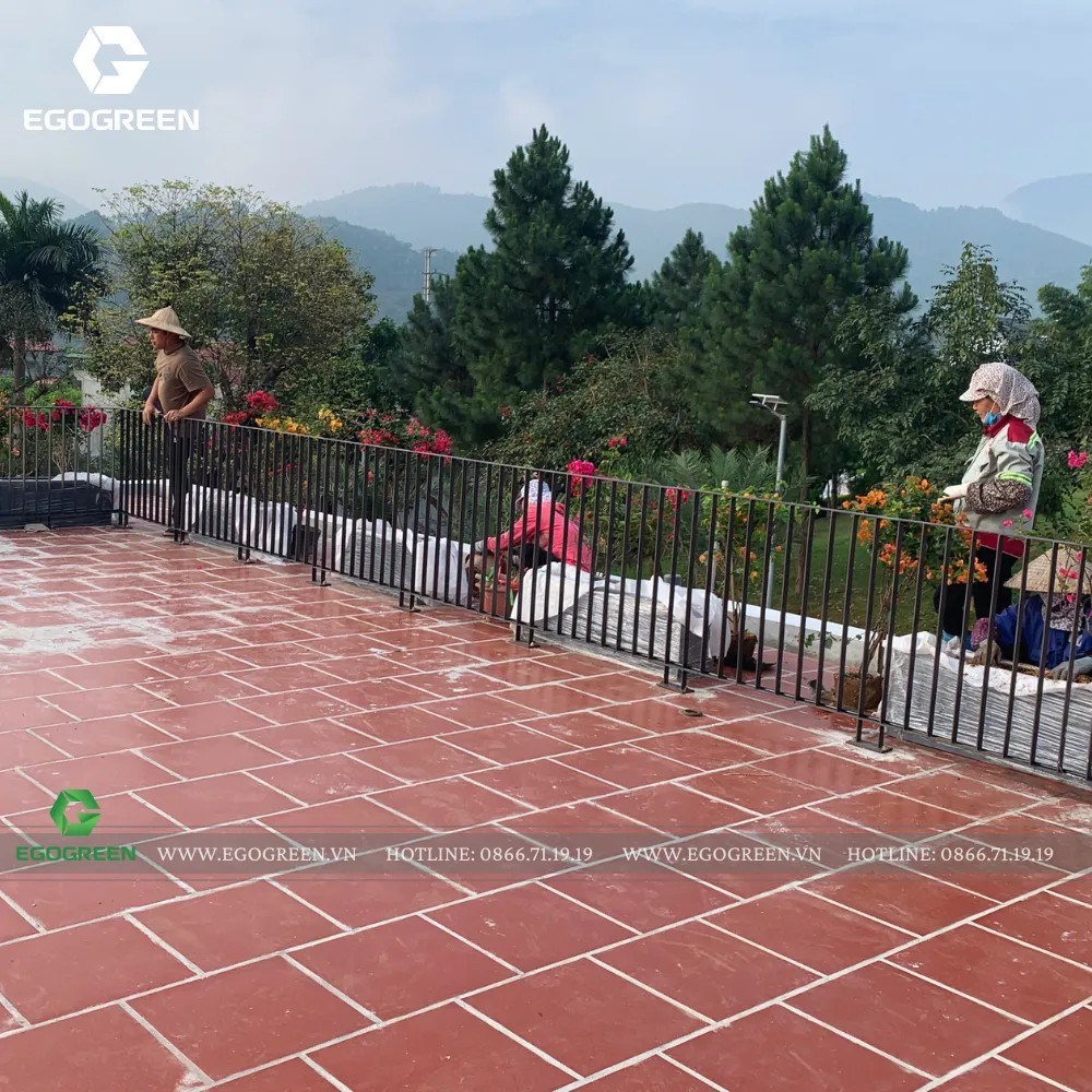 Những gốc hoa giấy được trồng trên sân thượng lộng gió do gia chủ là người cực kỳ yêu hoa.